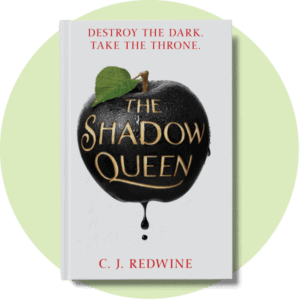 Book cover for The Shadow Queen