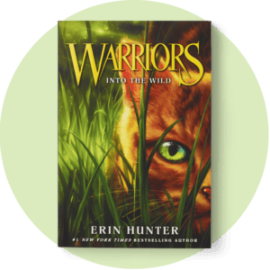 Book cover for Warriors