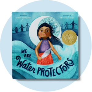 Book cover for We are Water Protectors